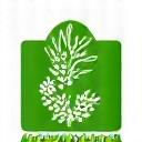 Logo certification Agriculture Biologique Europe