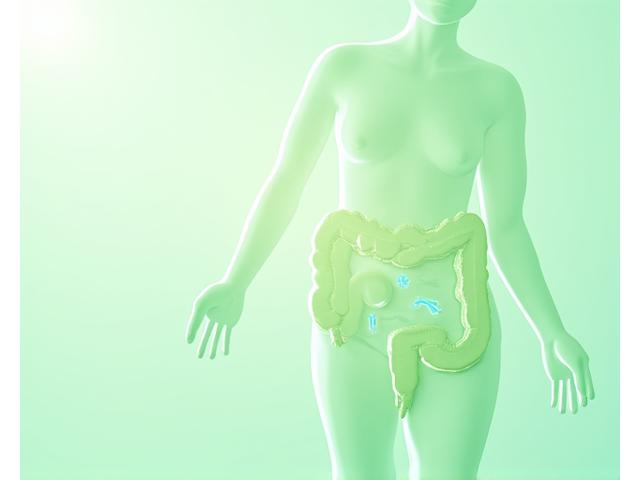 Illustration éducative d'un tractus intestinal humain avec des représentations stylisées de bonnes bactéries, sur un fond apaisant de tons verts clairs, signalant la santé et l'équilibre.